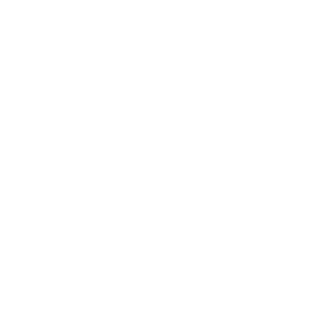 Filmopixel Main logo in white with transparent background, PNG file.